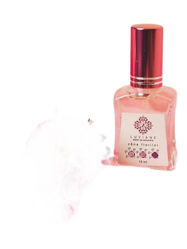 Frasco de Zâna Florilor — Luviane