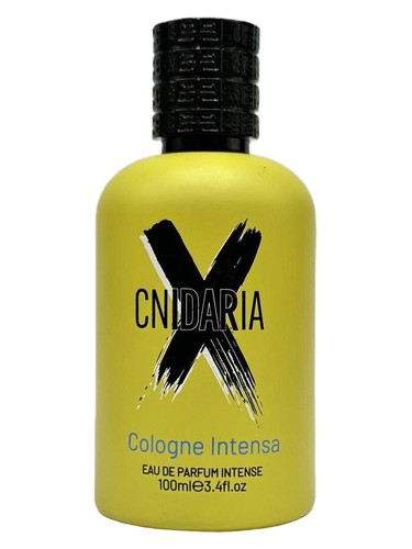 Frasco de Cnidaria X Cologne Intense, de Samam
