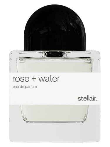 Frasco de Rose + Water, de Stellair Perfumes