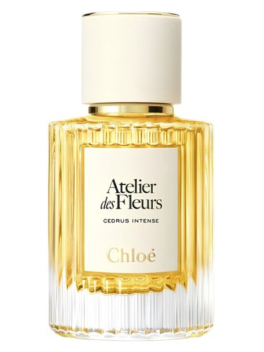 Frasco de Cedrus Intense — Chloé
