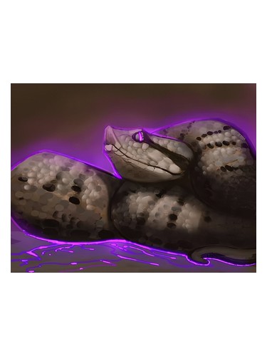 Frasco de Asp Viper, de Black Phoenix Alchemy Lab