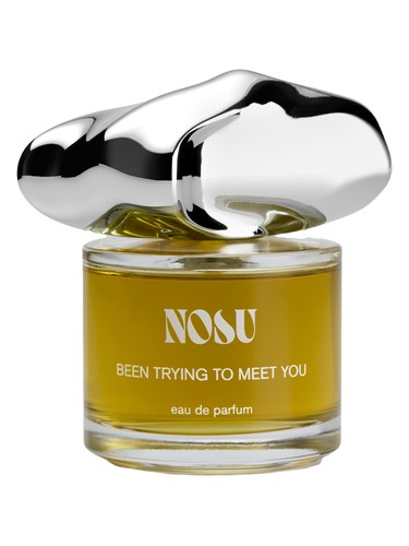 Frasco de Been Trying To Meet You, de Nosu