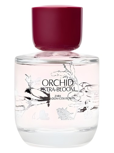 Frasco de Orchid Extra-Bloom, de Zara