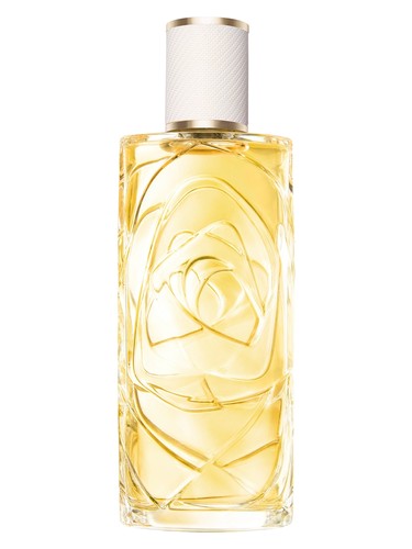 Frasco de Ô Zenith — Lancôme