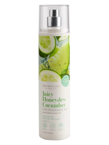 Frasco de Juicy Honeydew Cucumber — ScentWorx by Slatkin + Co.