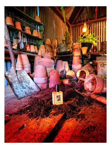 Frasco de Wilcox's Potting Shed — Solstice Scents