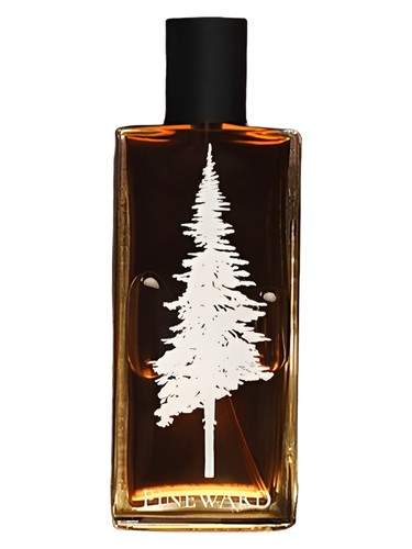 Frasco de Lime Cola — Pineward Perfumes