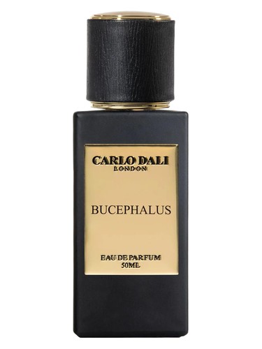 Frasco de Bucephalus, de Carlo Dali