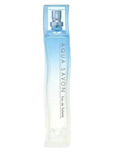 Frasco de Ice Watery Shampoo, de Aqua Savon