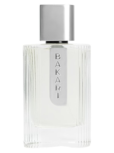 Frasco de Bakari — Avatim