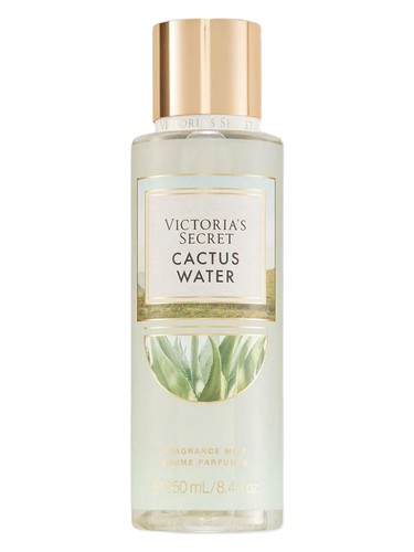 Frasco de Cactus Water, de Victoria's Secret