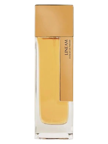 Frasco de Lineam — Laurent Mazzone Parfums