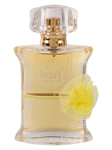 Frasco de Ma Vie, Mes Regles, de kari