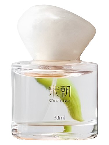 Frasco de 越界, de Song Chao 宋朝香氛