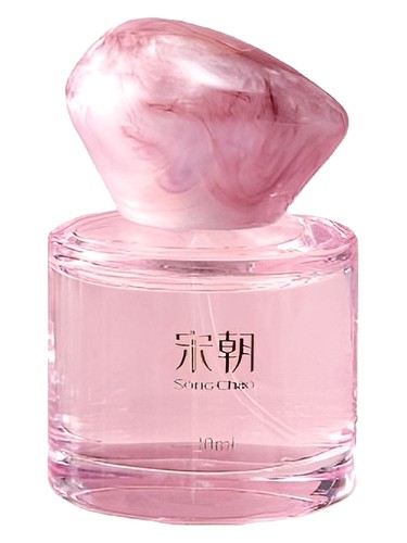 Frasco de 试探, de Song Chao 宋朝香氛