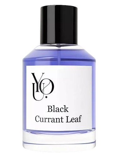 Frasco de Black Currant Leaf, de YOU