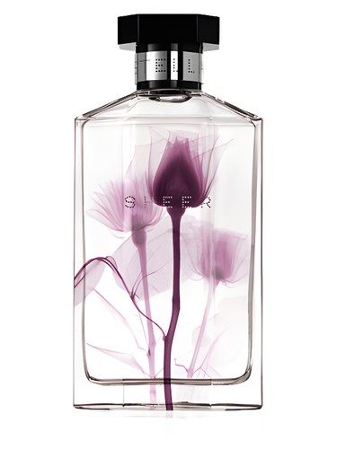 Frasco de Sheer Stella 2011, de Stella McCartney
