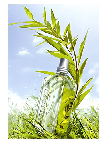 Frasco de Verbena Sun, de L'Occitane en Provence