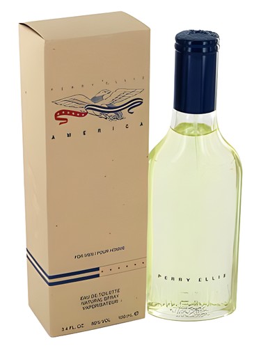 Frasco de America for Men, de Perry Ellis