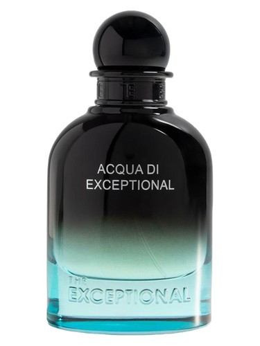 Frasco de Acqua Di Exceptional, de The Exceptional