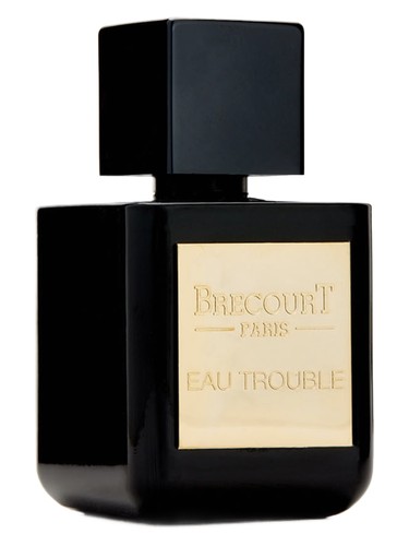 Frasco de Eau Trouble — Brecourt