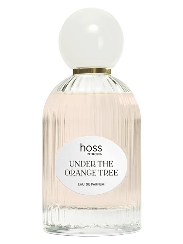 Frasco de Under The Orange Tree, de Hoss Intropia