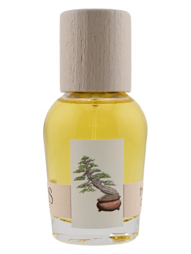 Frasco de The Idea of You, de Cirrus Parfum