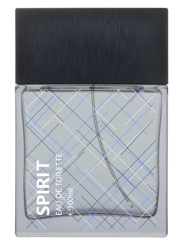 Frasco de Spirit Dark Blue, de Lonkoom Parfum