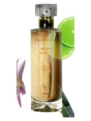 Frasco de Agave Mexica, de MUPE