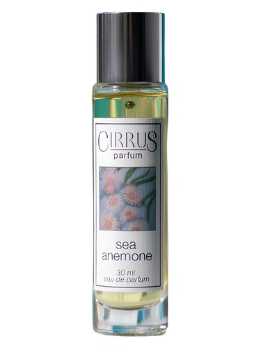 Frasco de Sea Anemone, de Cirrus Parfum