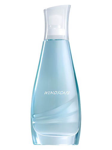 Frasco de Windscape for Her, de Avon