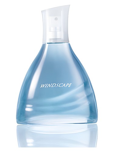 Frasco de Windscape for Him, de Avon