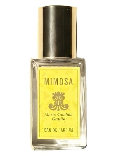 Frasco de Mimosa, de Maria Candida Gentile