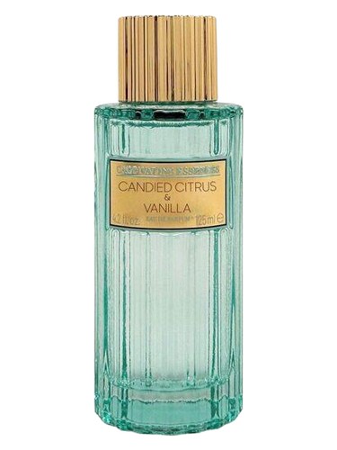 Frasco de Candied Citrus & Vanilla, de Captivating Essences