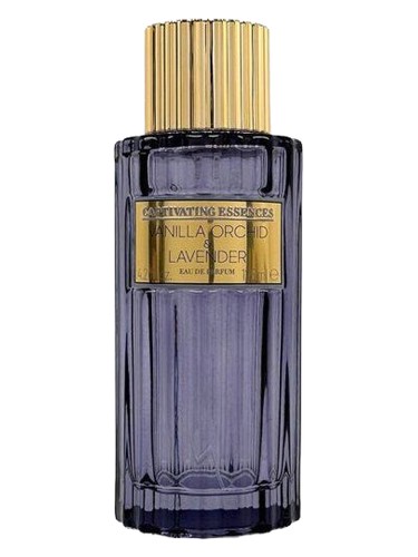 Frasco de Vanilla Orchid & Lavender, de Captivating Essences