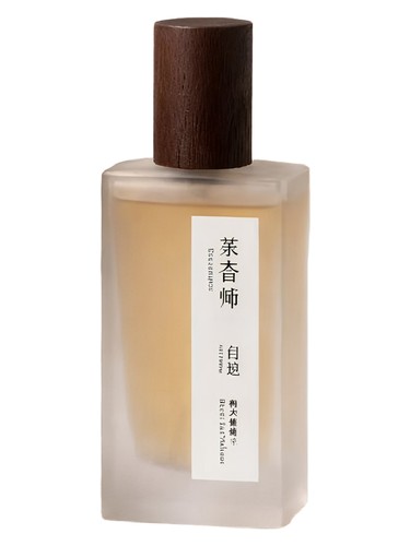 Frasco de Find Myself Dark Tea, de Chasense