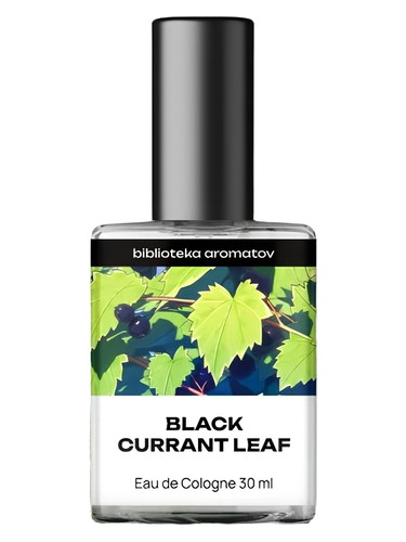 Frasco de Black Currant Leaf — biblioteka aromatov