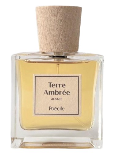 Frasco de Terre Ambrée, de Poécile Parfums