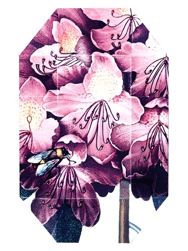 Frasco de Print Collection Stella 01 (2011), de Stella McCartney
