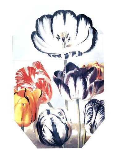 Frasco de Print Collection Stella 02 (2011), de Stella McCartney