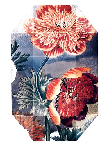 Frasco de Print Collection Stella 03 (2011), de Stella McCartney