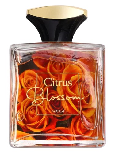 Frasco de Citrus Blossom, de AMD Perfumes
