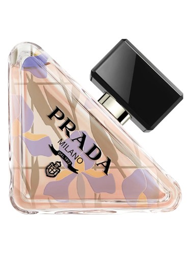 Frasco de Paradoxe Orchidea Edition, de Prada