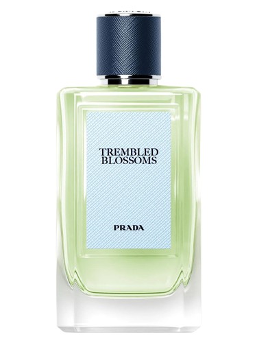 Frasco de Trembled Blossoms, de Prada