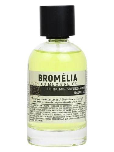 Frasco de Bromélia, de Flora Pura