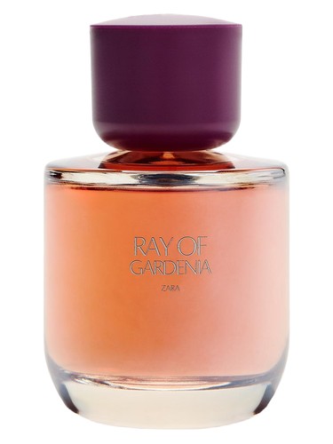 Frasco de Ray of Gardenia, de Zara