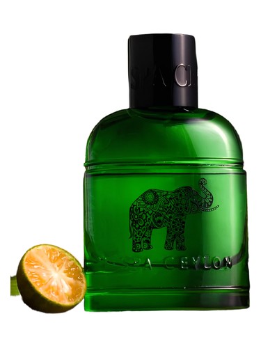 Frasco de Forest Escape Ceylon Elephant, de Spa Ceylon