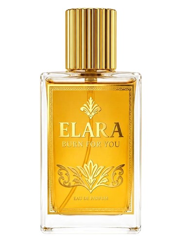 Frasco de Burn For You, de Elara Paris