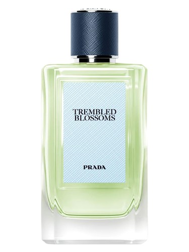 Frasco de Trembled Blossoms, de Prada