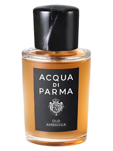Frasco de Oud Ambrosia, de Acqua di Parma